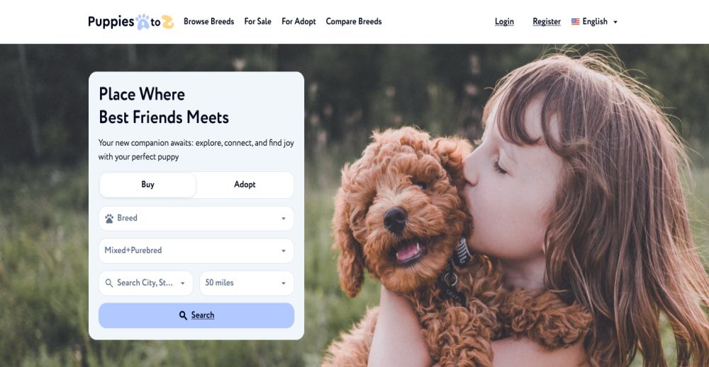 Website analytics dashboard